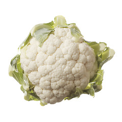 Image showing Cauliflower