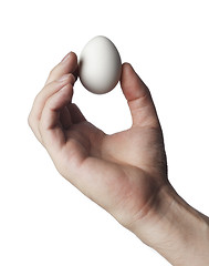 Image showing Egg