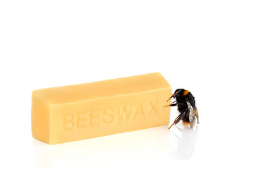 Image showing Bumble Bee and Beeswax