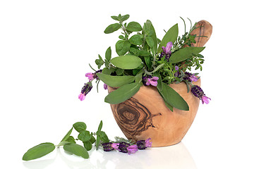 Image showing Lavender Flowers and Herb Leaves