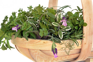 Image showing Fresh Herb Leaf Selection