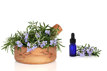 Image showing Rosemary Herb and Essence