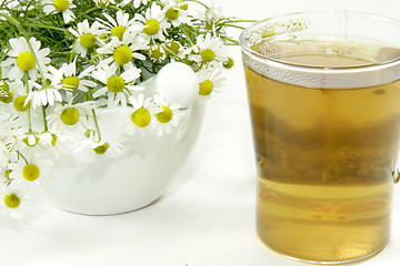 Image showing Camomile tea