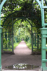 Image showing Green Tunnel