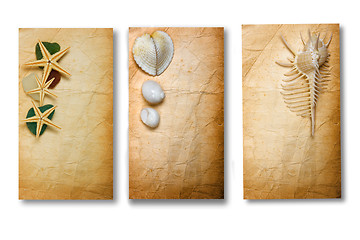 Image showing Old Paper with Seashells