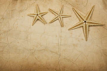 Image showing Sepia Starfish Paper