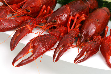 Image showing Fresh seafood with herb 