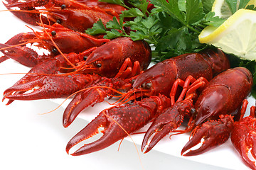 Image showing Fresh seafood with herb and lemon