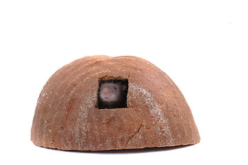 Image showing mouse and their house