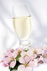 Image showing Cider and apple blossoms