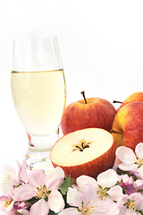 Image showing Cider and apple - still-life