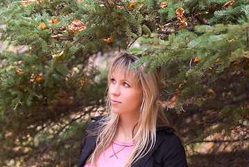 Image showing coniferous forest