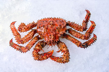 Image showing King crab