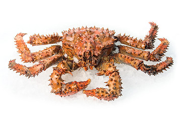 Image showing King crab 