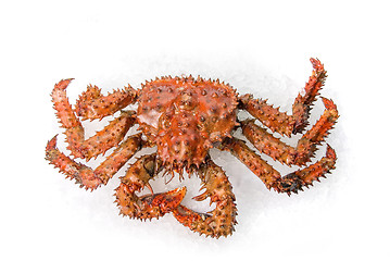 Image showing The King crab 