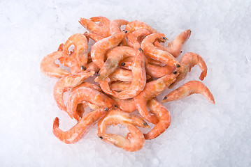 Image showing King shrimps 