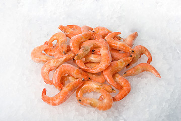 Image showing King shrimps 