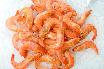 Image showing King shrimps