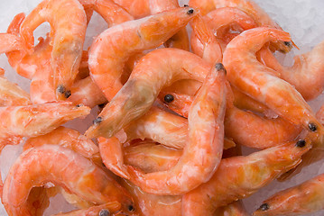 Image showing  King shrimps closeup