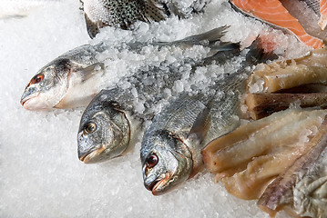 Image showing Fish at market