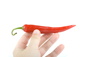 Image showing Hot chilli pepper