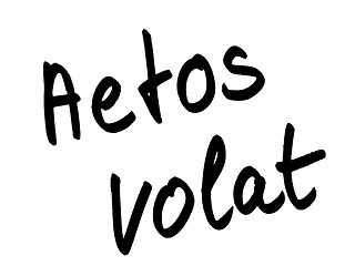 Image showing aetos volat