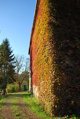 Image showing Country farm