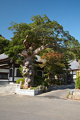 Image showing Hase Temple