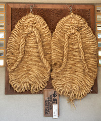 Image showing The Buddha's slippers