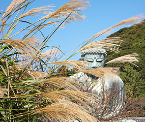 Image showing Great Buddha statue in Kamakura