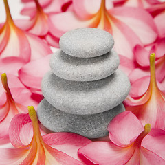 Image showing Pebble stack and Flowers
