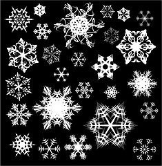 Image showing Various snowflakes on black
