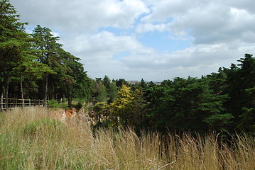 Image showing Landscape on Monsanto Park, Lisbon