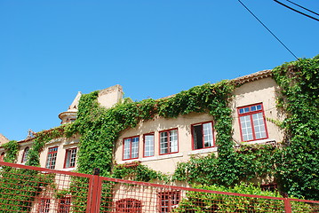 Image showing Pink building with clinging plants