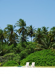 Image showing Coconut palm trees with white chairs (honeymoon concept)