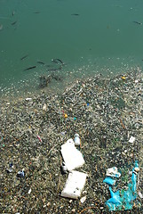 Image showing Polluted river full of rubbish and fishes