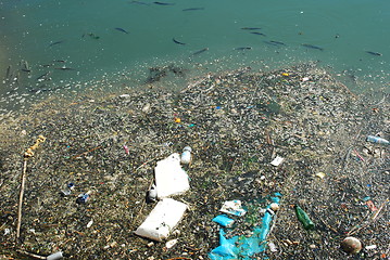 Image showing Polluted river full of rubbish and fishes