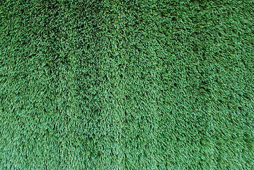 Image showing Green Turf Background