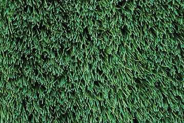 Image showing Green Turf Background