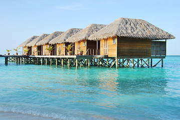 Image showing Water villas in Maldives