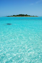 Image showing Maldives Island with gorgeous turquoise water