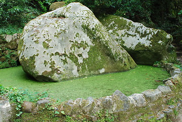 Image showing Mossy green lake and stones