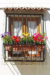 Image showing Typical window balcony with flowers in Lisbon