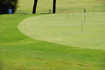 Image showing Golf green practice