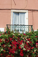 Image showing Typical window balcony with flowers in Lisbon