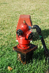 Image showing Red fire hydrant