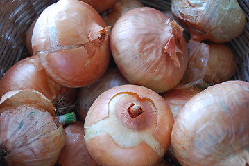 Image showing Onions in a Braided Brown Basket