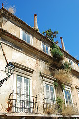 Image showing Damaged facade building with wild clinging plants