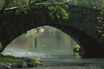 Image showing spring bridge