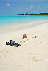 Image showing Maldives concept with coconut fruit and snorkeling equipment